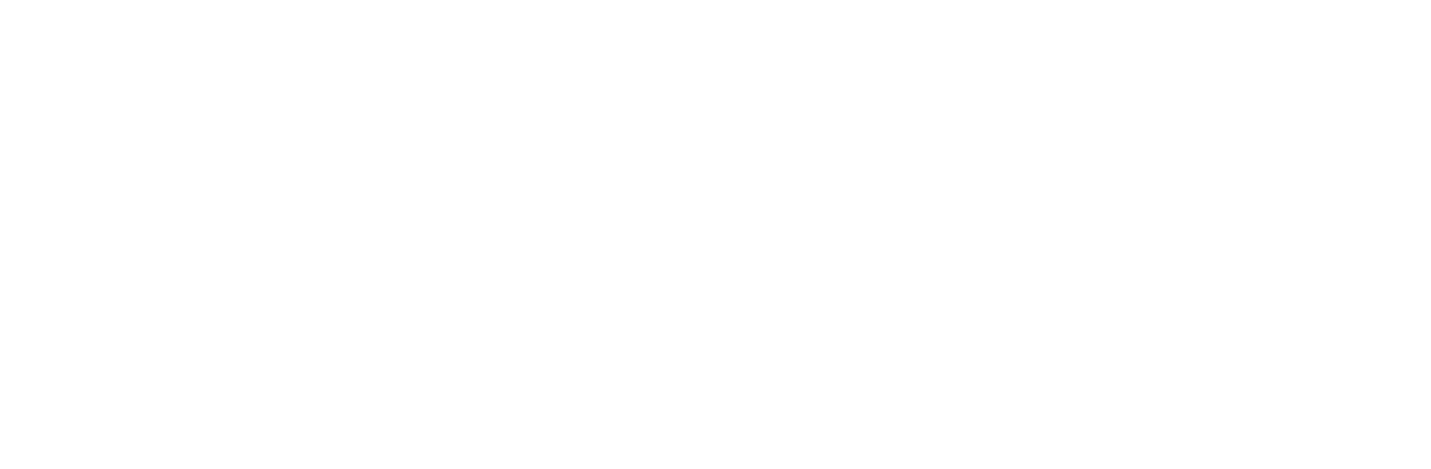 Everywhere logo